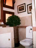 Guest toilet.jpg (73132 bytes)