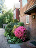 Garden in front.jpg (105377 bytes)